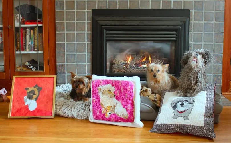 A picture of The Anklebiters band